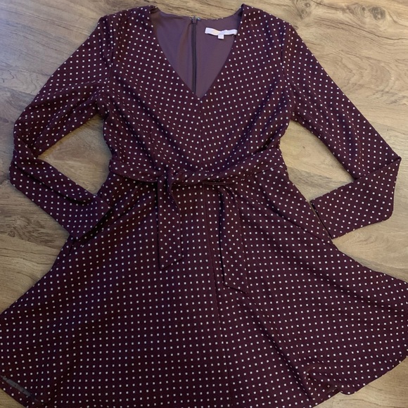 Hutch Dresses & Skirts - Gorgeous Winter Dress, Hutch Large